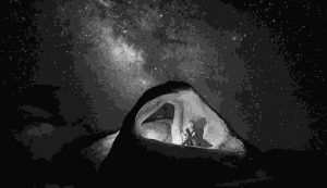 Students view on zodiac