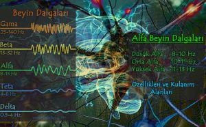 Alfa Dalgaları, Özellikleri ve Kullanım Alanları