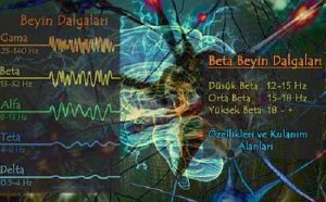 Beta Dalgaları, Özellikleri, Olumlu ve Olumsuz Etkileri