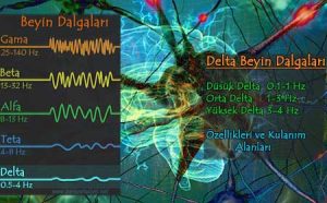 Delta Dalgaları, Özellikleri ve Kullanım Alanları