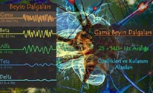 Gama Dalgaları, Özellikleri ve Kullanım Alanları