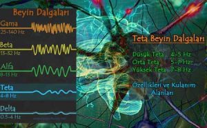 Teta Dalgaları, Özellikleri ve Kullanım Alanları